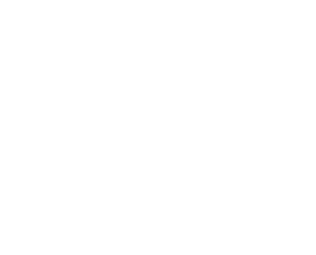 Indigenous circle art.